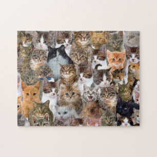 Cat Faces Muster Puzzle