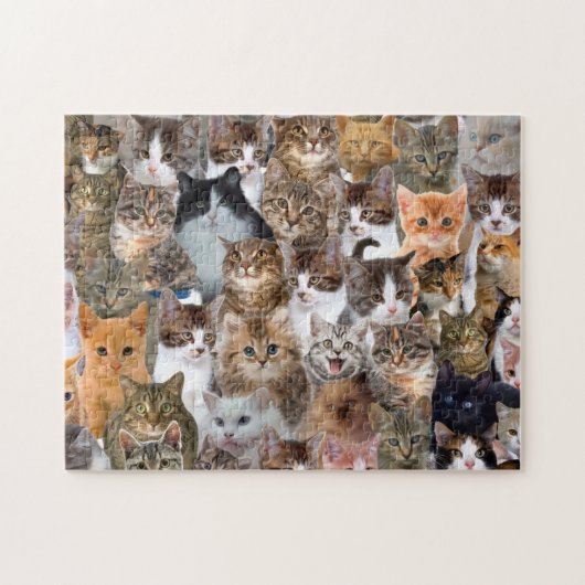 Cat Faces Muster Puzzle (Horizontal)