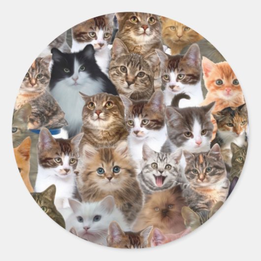 Cat Faces Pattern Runder Aufkleber (Vorderseite)