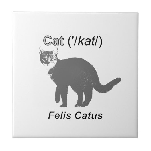 Cat Felis Catus Fliese (Vorderseite)