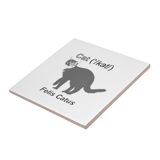 Cat Felis Catus Fliese (Seite)