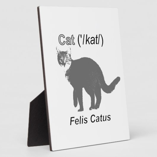 Cat Felis Catus Fotoplatte (Seite)