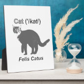 Cat Felis Catus Fotoplatte (Seite)