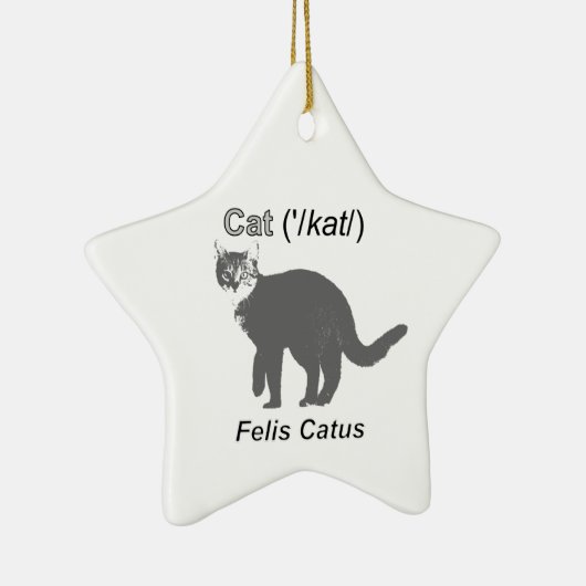 Cat Felis Catus Keramik Ornament (Rechts)