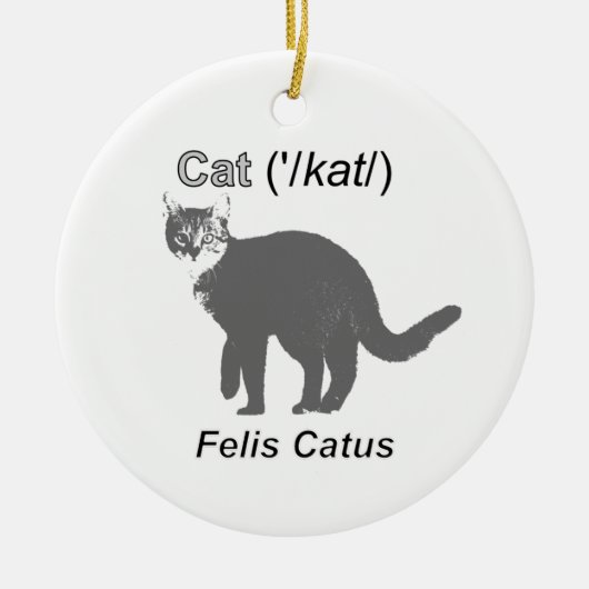 Cat Felis Catus Keramikornament (Vorne)