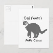Cat Felis Catus Postkarte (Vorne/Hinten)