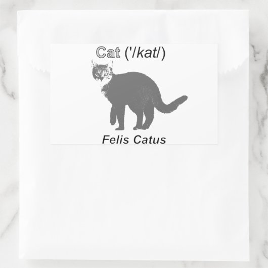 Cat Felis Catus Rechteckiger Aufkleber (Tasche)