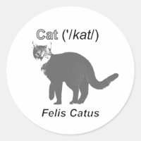 Cat Felis Catus