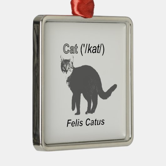 Cat Felis Catus Silbernes Ornament (Rechts)