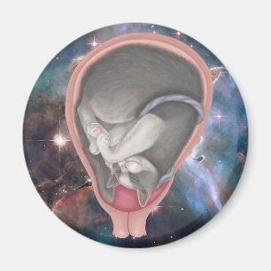 Cat Fetus Magnet