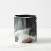 Cat-ffeine. Tasse (Zentrum)
