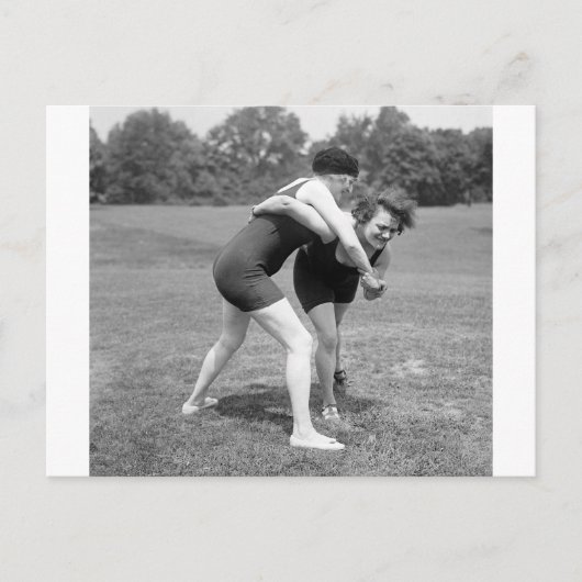 Cat Fight, early 1900s Postkarte (Vorderseite)