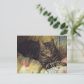 Cat Fine Art Foto Postkarte (Stehend Vorderseite)