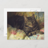 Cat Fine Art Foto Postkarte (Vorne/Hinten)
