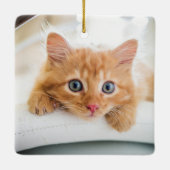 Cat First Christmas Foto Keramikornament (Rückseite)