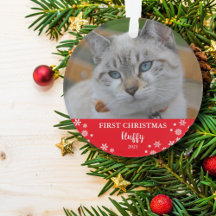 Cat first Christmas Snowflakes Foto