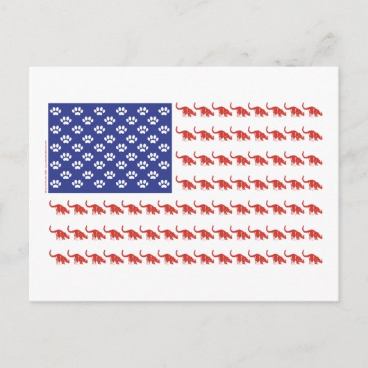Cat-Flag-T-Shirt Postkarte (Vorderseite)