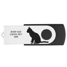 Cat Flash Drive Sitzen