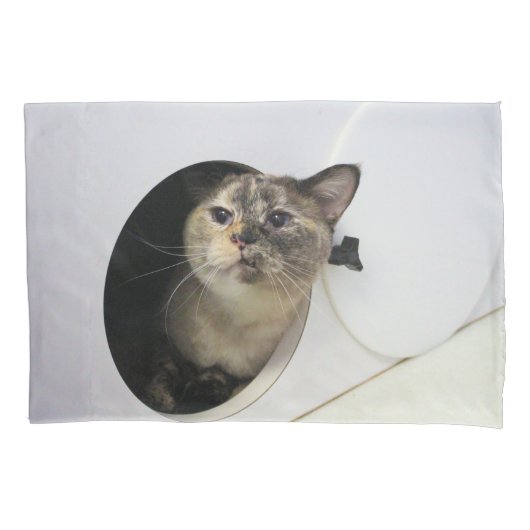 Cat Fleece Blanket Kissenbezug (Vorderseite)