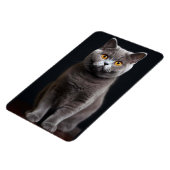 Cat Fllexible Foto Magnet (Linke Seite)
