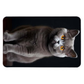 Cat Fllexible Foto Magnet (Horizontal)