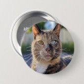 Cat-Foto anpassen hinzufügen Button (Vorne & Hinten)