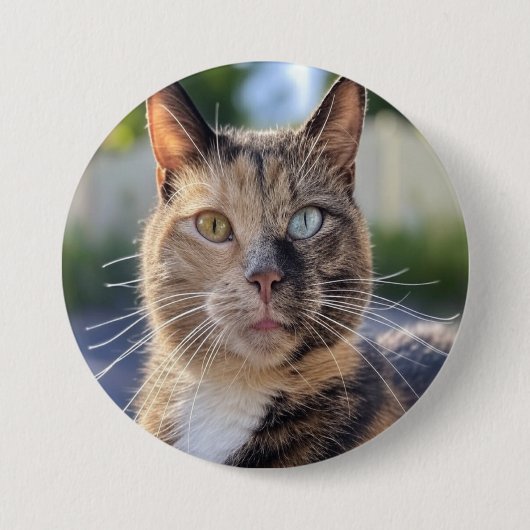 Cat-Foto anpassen hinzufügen Button (Vorderseite)