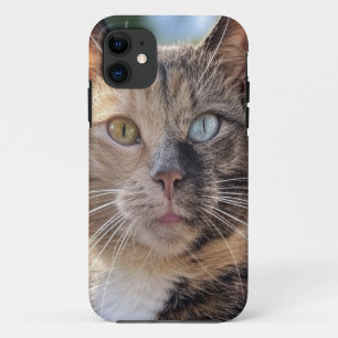 Cat-Foto anpassen hinzufügen Case-Mate iPhone Hülle