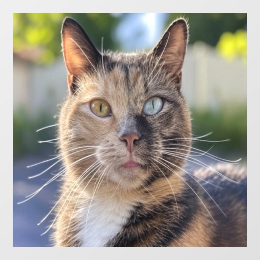 Cat-Foto anpassen hinzufügen Fensteraufkleber (Blatt)