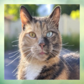 Cat-Foto anpassen hinzufügen Fensteraufkleber (Blatt 3)