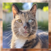 Cat-Foto anpassen hinzufügen Fensteraufkleber (Blatt 2)