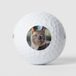 Cat-Foto anpassen hinzufügen Golfball