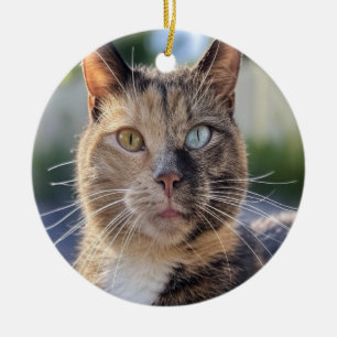 Cat-Foto anpassen hinzufügen Keramik Ornament