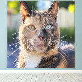 Cat-Foto anpassen hinzufügen Leinwanddruck (Insitu (Holzboden))