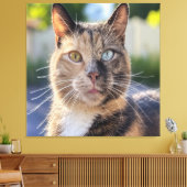 Cat-Foto anpassen hinzufügen Leinwanddruck (Insitu (Wohnzimmer))