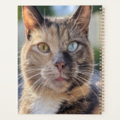 Cat-Foto anpassen hinzufügen Planer (Rückseite)