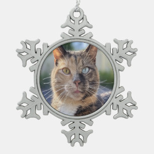 Cat-Foto anpassen hinzufügen Schneeflocken Zinn-Ornament