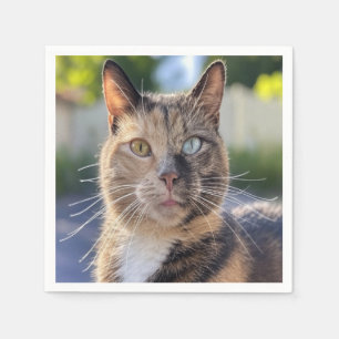 Cat-Foto anpassen hinzufügen Serviette