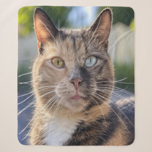 Cat-Foto anpassen hinzufügen Sherpadecke