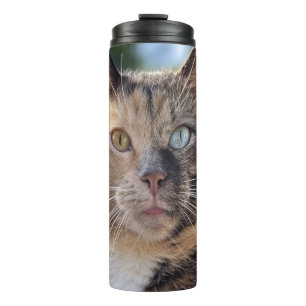 Cat-Foto anpassen hinzufügen Thermosbecher