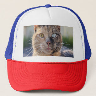 Cat-Foto anpassen hinzufügen Truckerkappe