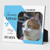 Cat Foto Beileid Keepake Pet Memorial Blau Fotoplatte (Seite)