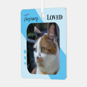 Cat Foto Beileid Keepake Pet Memorial Blau Ornament Aus Metall (Vorderseite links)