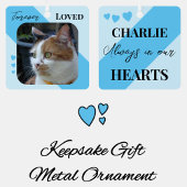 Cat Foto Beileid Keepake Pet Memorial Blau Ornament Aus Metall