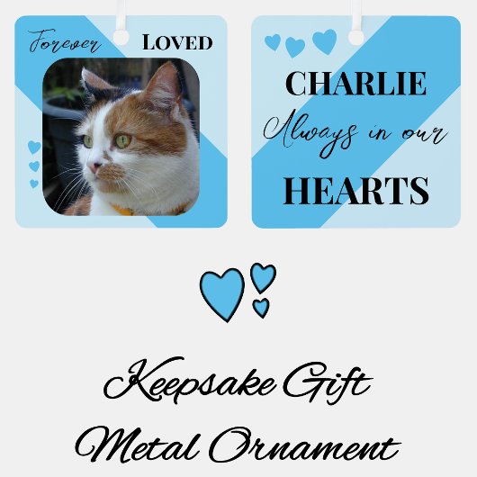 Cat Foto Beileid Keepake Pet Memorial Blau Ornament Aus Metall