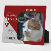 Cat Foto Beileid Keepake Pet Memorial Bordeaux Fotoplatte (Seite)