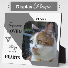 Cat Foto Beileid Keepake Pet Memorial grau Fotoplatte