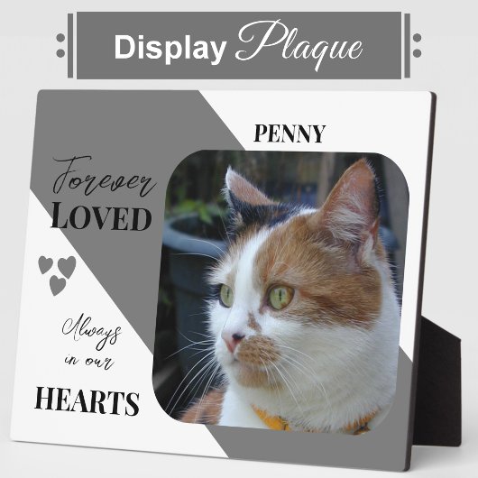 Cat Foto Beileid Keepake Pet Memorial grau Fotoplatte
