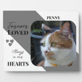Cat Foto Beileid Keepake Pet Memorial grau Fotoplatte (Vorderseite)