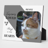 Cat Foto Beileid Keepake Pet Memorial grau Fotoplatte (Seite)